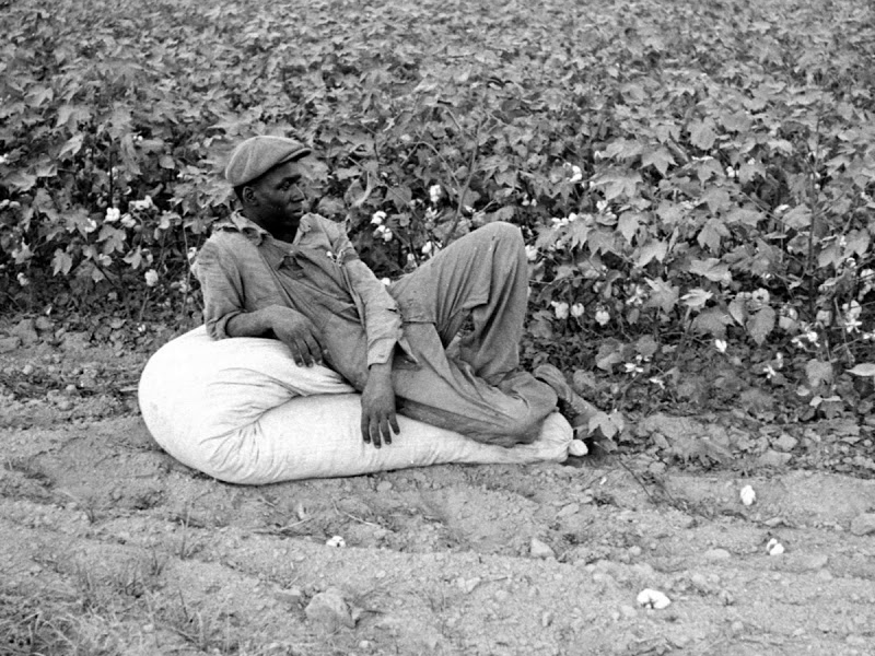 Life Story of a Sharecropper’s Son and Other Black Rural Life Stories